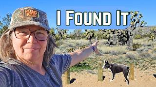 I Finally Found This - But I Couldn't Stay