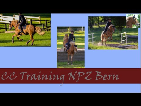 CC Training im NPZ Bern | Geländetraining | Leming CH