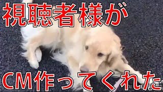 視聴者様がCMを作ってくれました！大感謝！