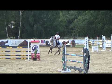 Jornian Blue ( Zirocco Blue x Canturano )