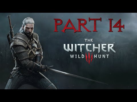 The Last Wish | First Playthrough | The Witcher 3: Wild Hunt (PC) Pt. 14
