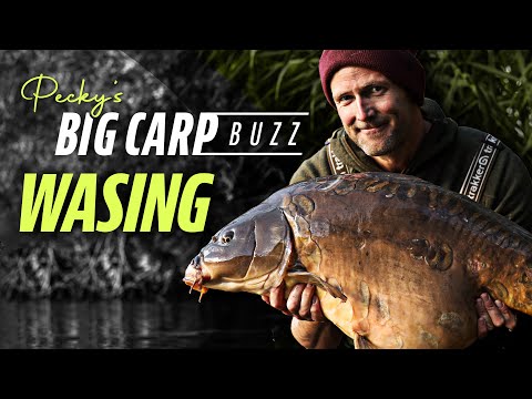 Darrell Pecks Big Carp Buzz - Wasing Estate, Oxlease (Chasing Monster Carp) | Korda 2021