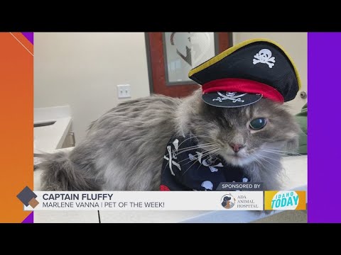 Pet Pics: A special "Howl-a-Ween" edition - YouTube