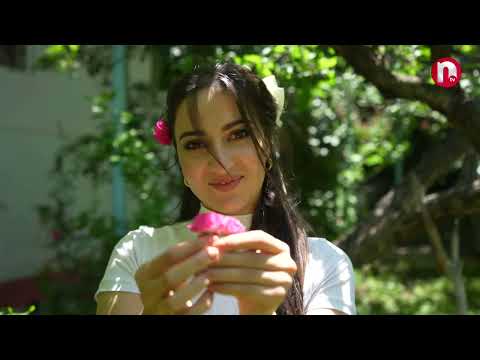 Ləzzətin izi ilə - Mövsümün nəfis yeməkləri Anaqut kəndində hazırlandı - 09.07.2024