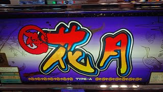 【梅花月R】実機配信