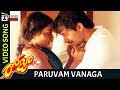 Roja Telugu Movie Songs Paruvam Vanaga Video Song Madhu Bala Aravind Swamy AR Rahman