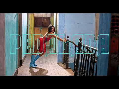 pedalada • uma saga de Duda Brack