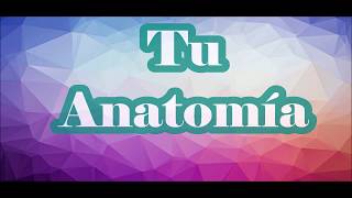 Tu Anatomía//Like la leyenda letra