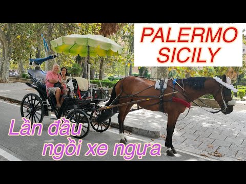 , title : 'Palermo Sicily. #7 Lần đầu ngồi xe ngựa cảm giác?'