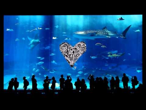 Androma - GUNJULE (Herr Vogel Remix)