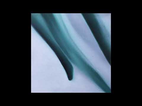 Adhémar - The Roots System