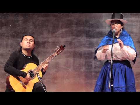 Espacio Ronda - REVOLLAR, VILLANUEVA - Putkamayu