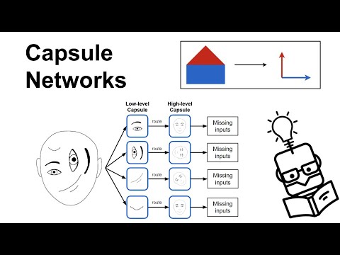 Capsule Networks Explained
