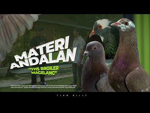 GREBEK YHS BROILER MAGELANG PIGEON CAGE