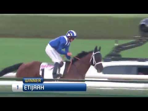 14.02.2015 Meydan (Dubai/UAE) 6.Race Aquarius - Handicap  2.000 m
