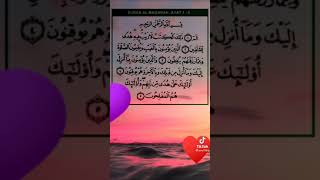 Download lagu Surah Al-Baqarah ayat 1-5 mp3