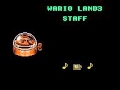 Wario Land 3 Final Boss PERFECT Ending