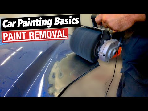 The DIY ANSWER to OLD Paint Removal!