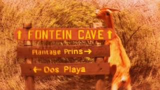 Sixty Seven- The Morning After