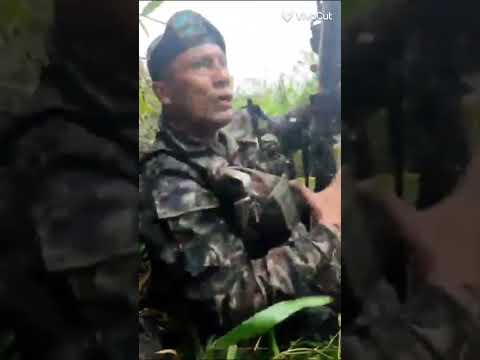 Autodefensas en combate #colombia #farc #militar #cauca #ejercito #noticias