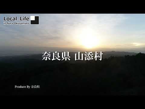 【空から見た奥大和】山添村