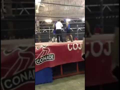 Ko de Royder Dzul camacho 1er round (amateur)