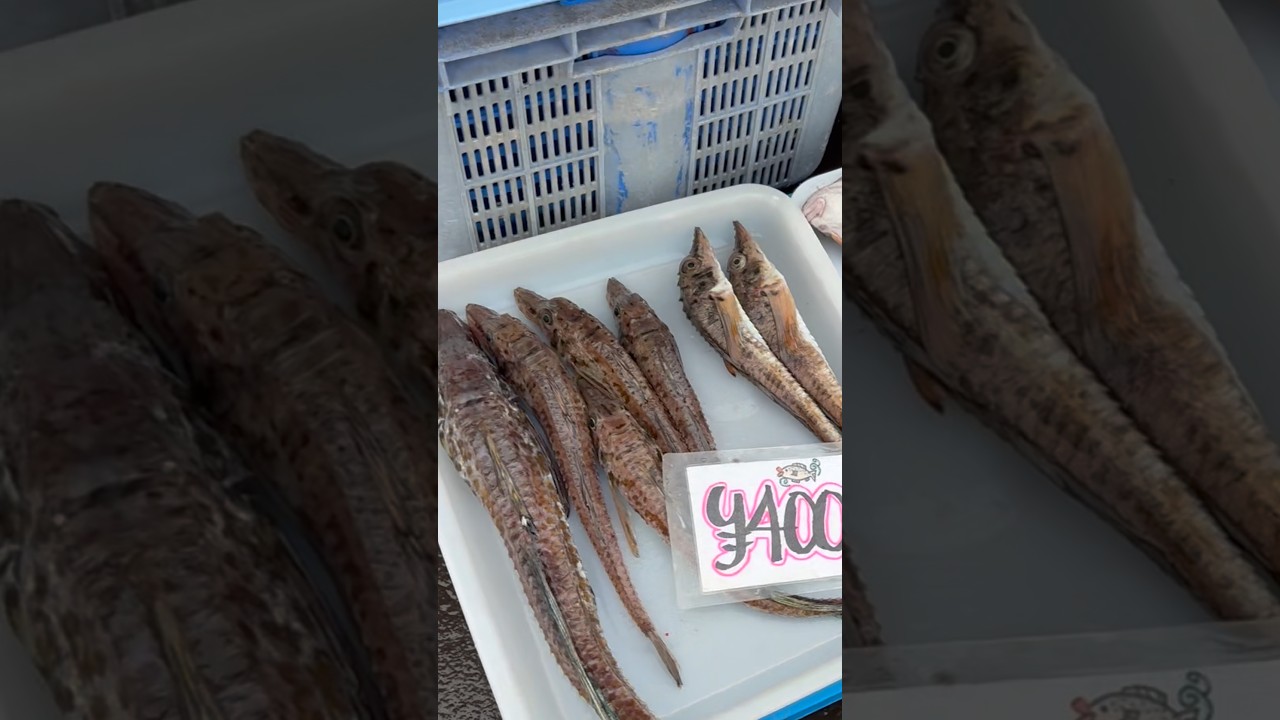 これで600円って言われたんだけど…