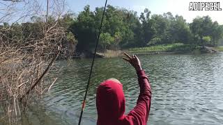 Download lagu Mancing di WKO ' PELEM BINATUR' lagi wangi mp3