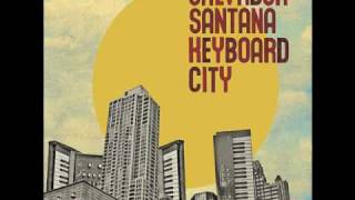 Salvador Santana - This Day (Belongs To You)
