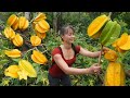 Harvest Star Fruit (Khe Khe) Go to market sell - Take Care of The House | Tiểu Vân Daily Life