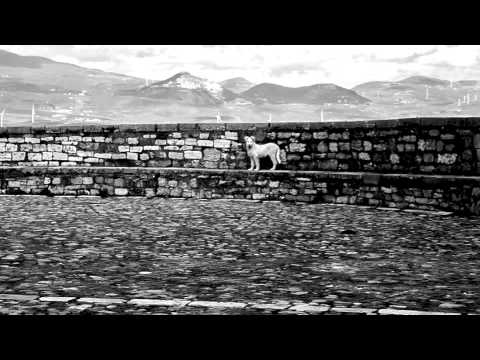 Confine- Cicuta Quartet