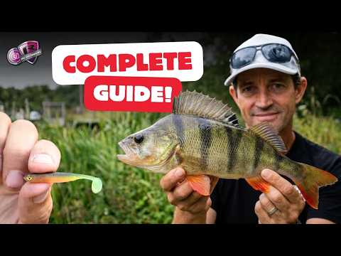 Beginner's Guide To Perch Lure Fishing