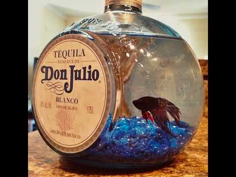 MDotty Gz - Bottle (Official Audio)