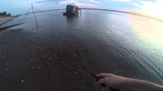 Воблеры lucky craft sammy 128