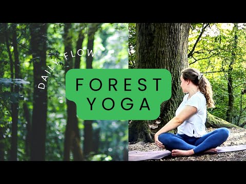 Forest Yoga Class| Daily Flow from a London park | authentic forest nature sounds ~ 15 min