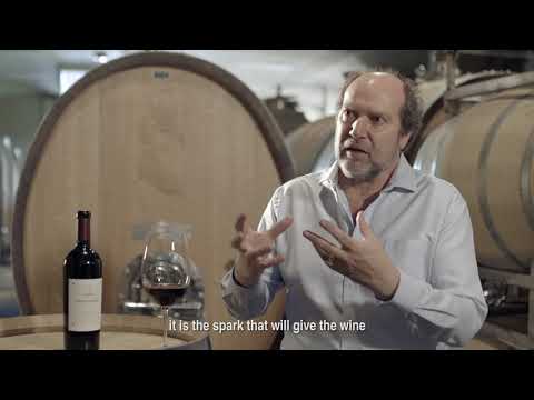 Pionero Blend “Finca El Tomillo” Gualtallary 2014 - Bemberg Estate Wines