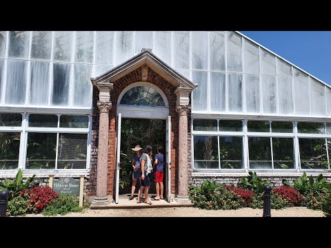 Planting Field Arboretum  #2