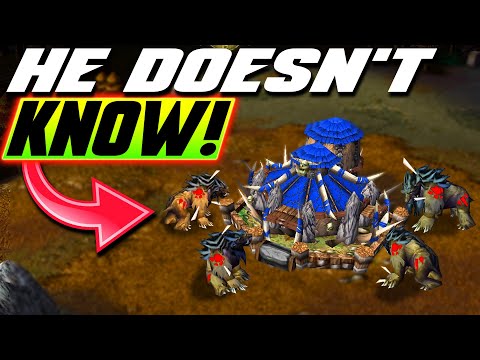 I do believe, sir, that these Spikes hurt you more than me - WC3 - Grubby