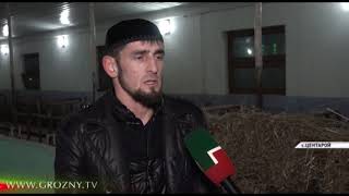 Рамзан Кадыров: Жители села обязаны вести подсобное хозяйство, иметь сад и огород