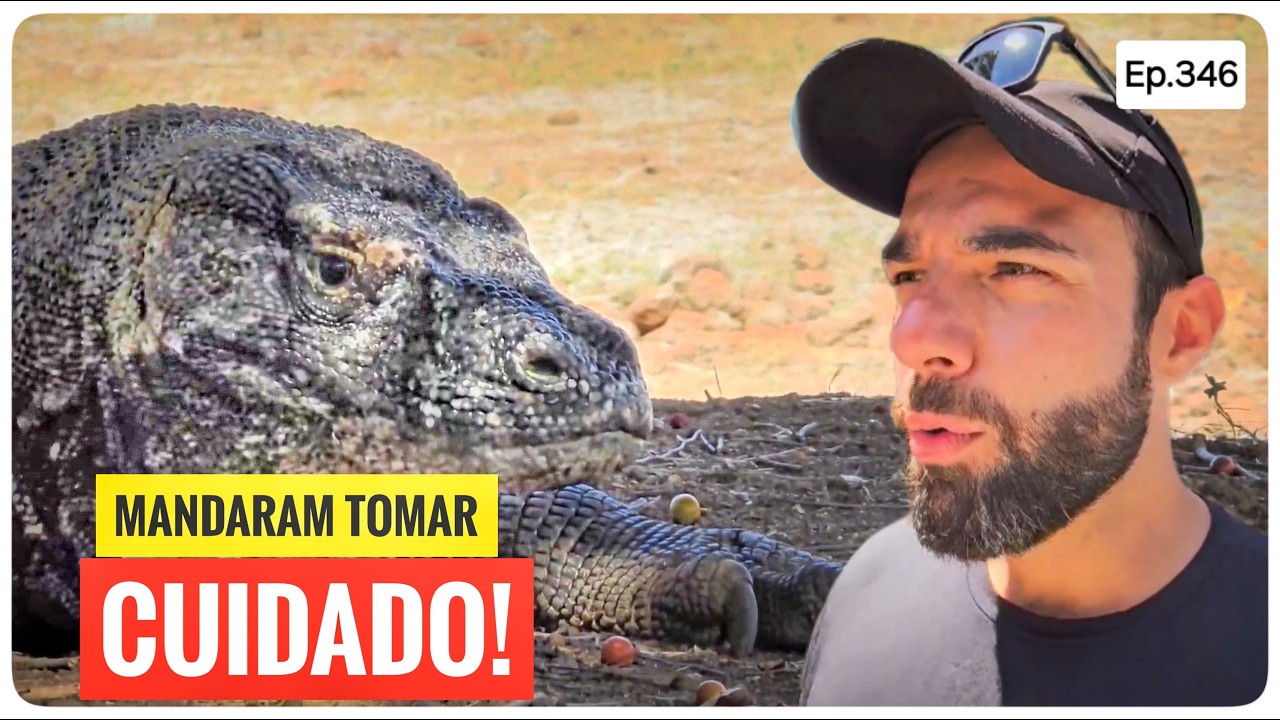 72 hours for the ISLAND where KOMODO DRAGONS live!