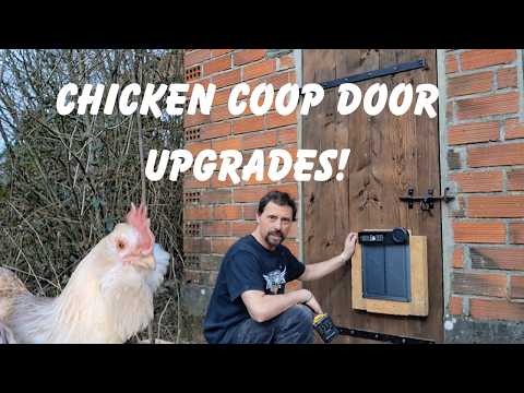 A Splash of Green & Big Changes At The Hen House!