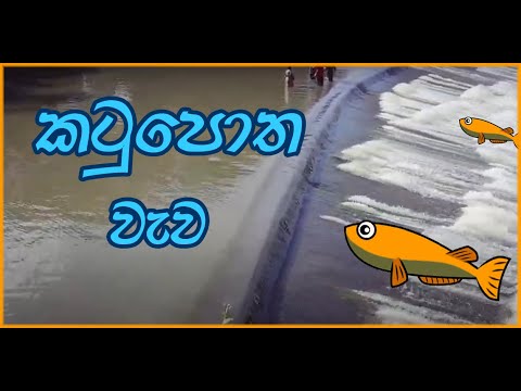 Katupotha Wewa Wilpotha Halawatha