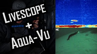 Livescope + Underwater Camera (CRAZY Fish Behavior) + Livescope Settings