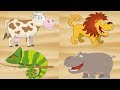 Baby Tv Channel Baby Tv Monkey Oliver Learning Animals Name And Sound