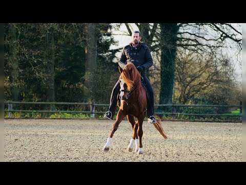 Horst Becker: Bend your horse on the straight and straighten it in the bend!