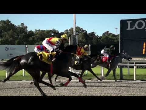 220424 c05 ENAGENADO