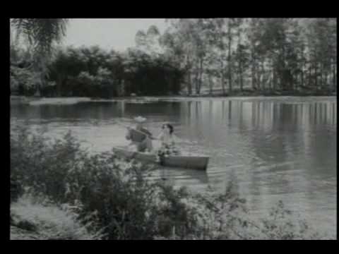 Além video