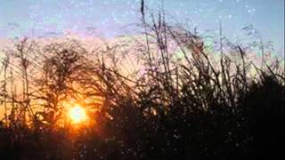 Dave Alvin  ~~ Dark Eyes ~~.wmv