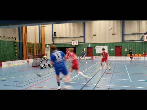 20220205 HJ Dingle - Lerum goals