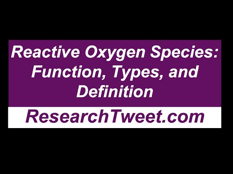 Reactive Oxygen Species: Function, Types, and Definition